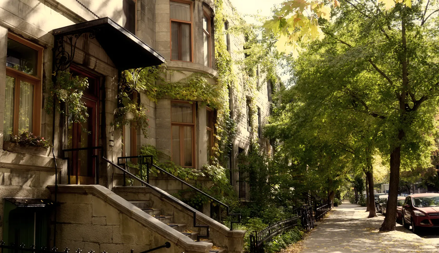 Secteur de prestige du Grand Montréal — rue cossue bordée d'arbres