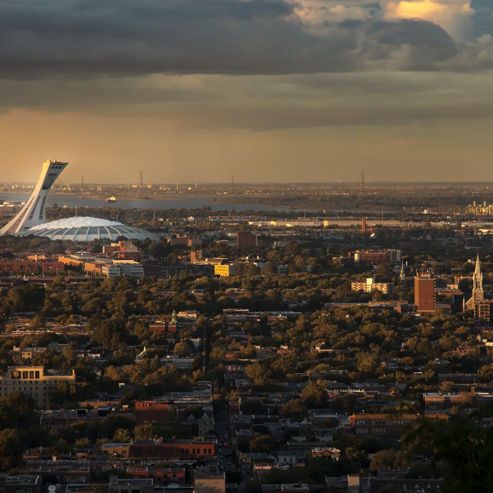 Montréal la nuit — rayonnement international du courtage de prestige