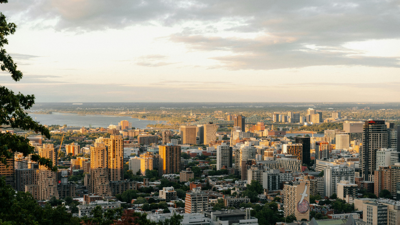 Marché immobilier de Montréal, semaine du 23 au 29 juillet 2026 — tours de copropriétés, Indice Tardif par David Tardif