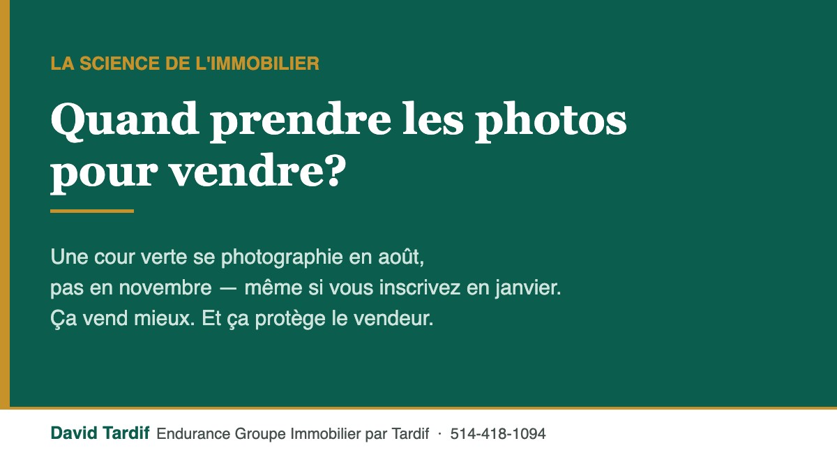 Quand prendre les photos pour vendre : une cour verte photographiée en août par David Tardif, Endurance Groupe Immobilier par Tardif