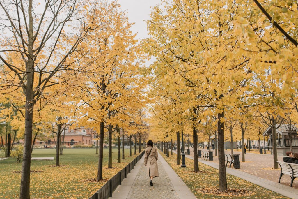 Femme marchant de dos dans une allée de parc bordée d'arbres aux feuilles jaunes en automne, pour illustrer le marché immobilier Montréal de fin septembre